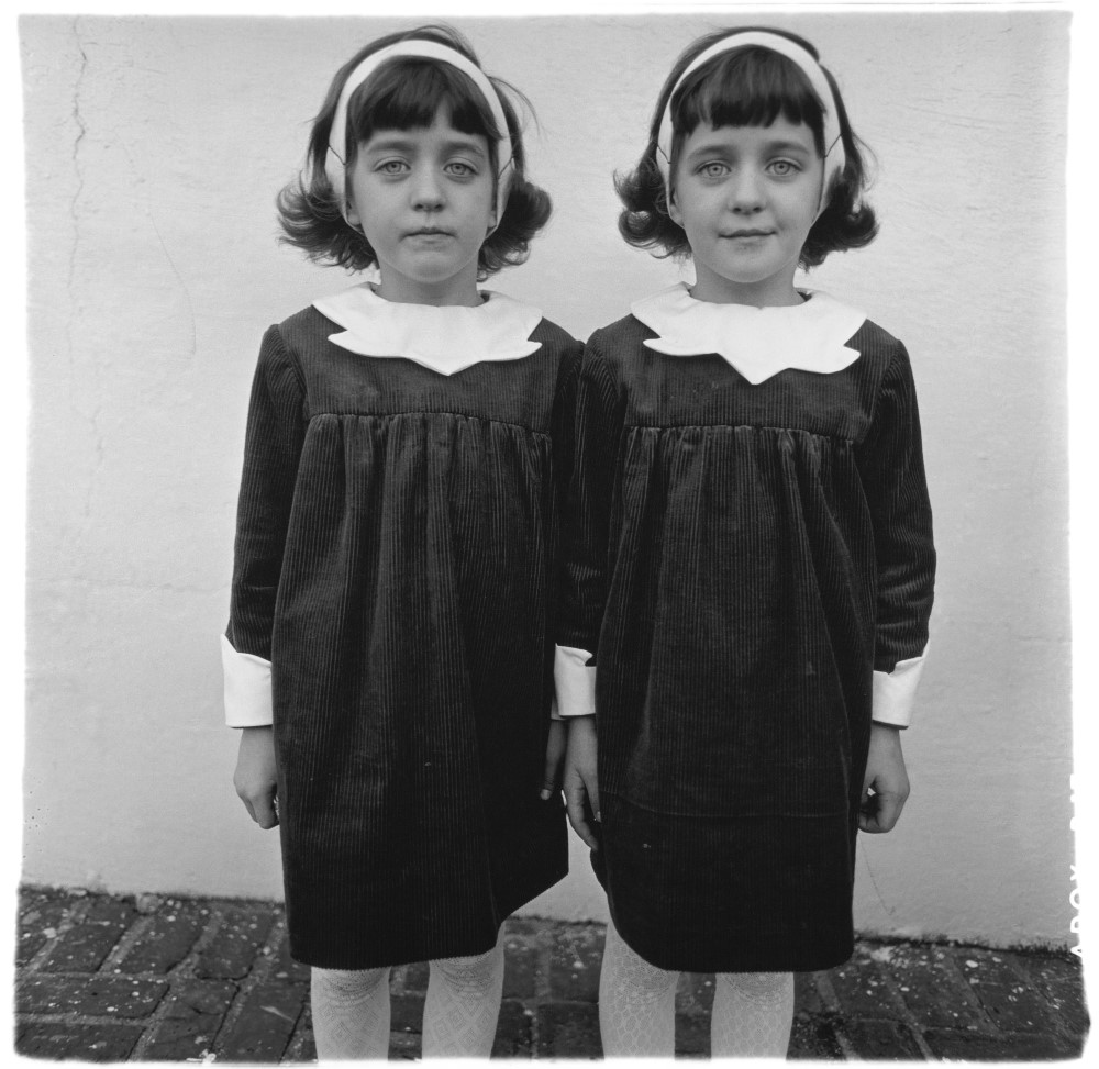 identical-twins-roselle-nj-1967-c-the-estate-of-diane-arbus (Custom)